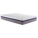 Nautica Home 13" Orchid Multi Zone FlexAire Bed - 6 Chamber Smart Zone Bed
