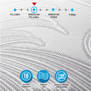 Thomasville Artisan Franklin 10" Hybrid Mattress