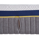 Nautica Home 11" 2-Zone Smart Zone Bed