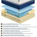 Nautica Home 14" Cool Memory Foam Mattress