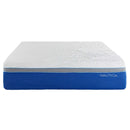 Nautica Home 14" Cool Memory Foam Mattress
