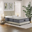 Spring Air 12" Contentment Firm Hybrid Innerspring Mattress