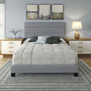 Piedmont Upholstered Platform Bed