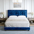 Pisa Upholstered Platform Bed