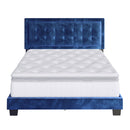 Pisa Upholstered Platform Bed