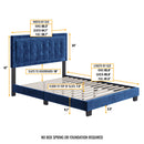 Pisa Upholstered Platform Bed