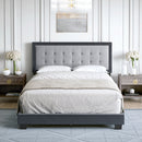 Pisa Upholstered Platform Bed