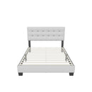 Roma Upholstered Platform Bed