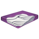 Constellation Lumbar Waterbed Mattress
